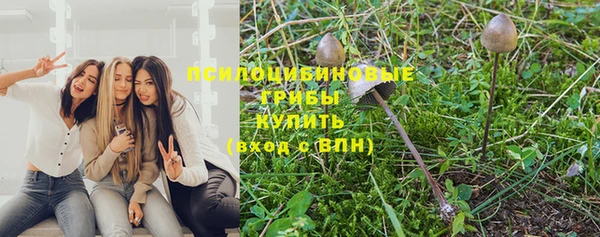 mix Абаза